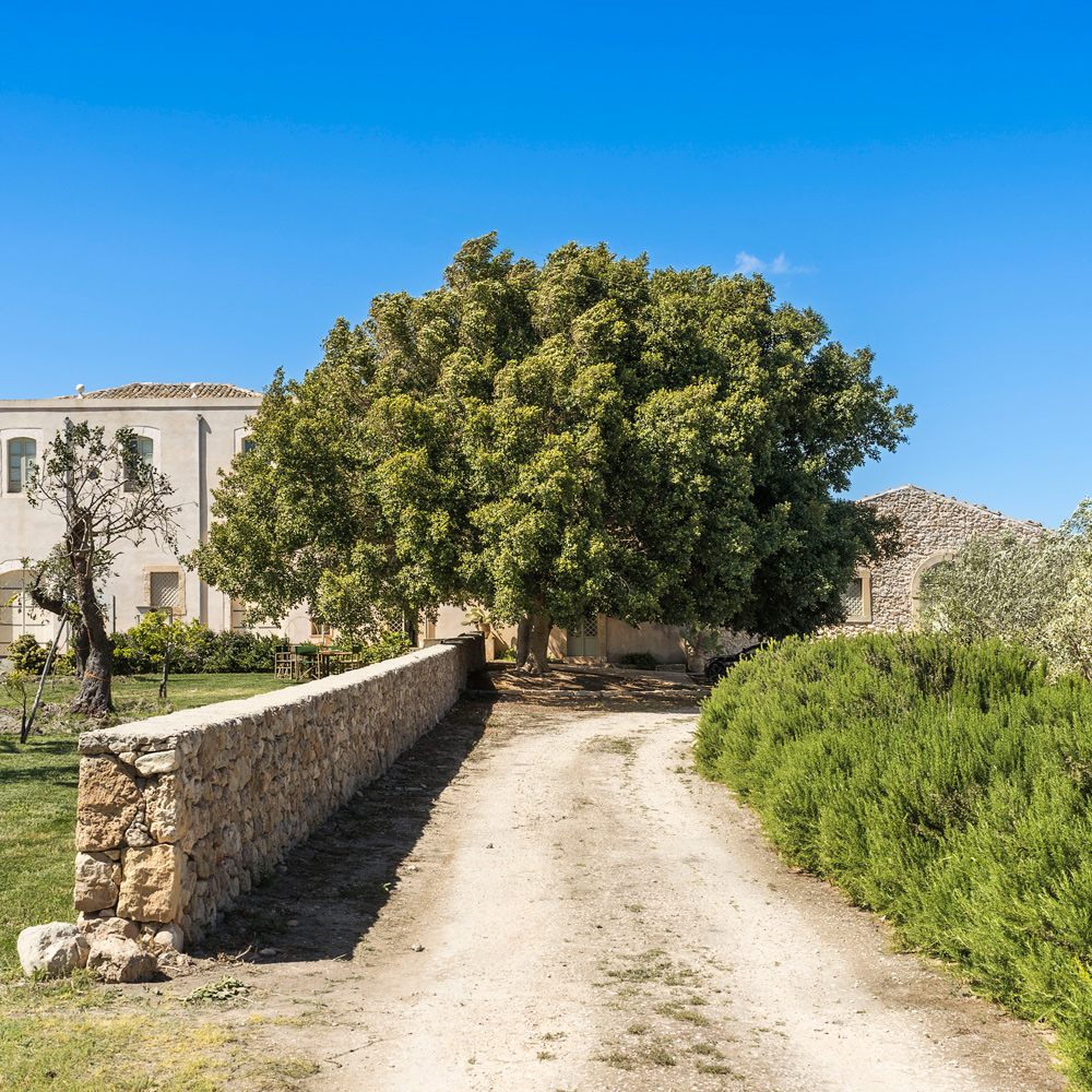 Masseria Baroni, cortile. Val di Noto Siracusa (SR).