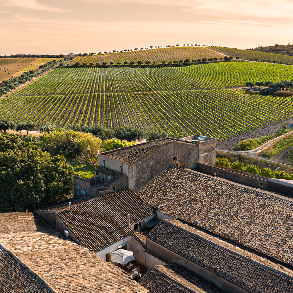 Masseria Baroni. Val di Noto Siracusa (SR). Sicilia